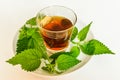 Nettle infusion with nettle leaves in a transparent cup