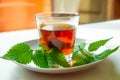 Nettle infusion with nettle leaves in a transparent cup