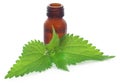 Nettle leaves with extract