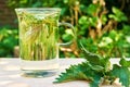 Nettle leaves in a glass of nettle tea on a wooden table