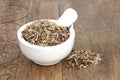 Nettle Herb Root in a Mortar with Pestle