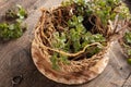 Nettle roots and young plants in a wicker basket