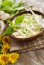 Nettle salad with cabbage Royalty Free Stock Photo