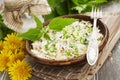 Nettle salad with cabbage Royalty Free Stock Photo