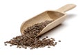 Nettle seeds and wooden scoop on white background