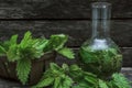 Nettle tincture essential oil.