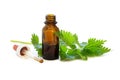 Nettle tincture in a small bottle and fresh leaves on white wood