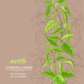 Nettle vector background