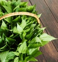 Nettle in the wicker, fresh leaves on the background of wooden table Royalty Free Stock Photo