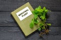 Nettles and directory medicinal plant Royalty Free Stock Photo