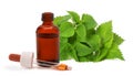 Nettles with essence bottle Royalty Free Stock Photo