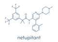 Netupitant drug molecule. NK1 receptor antagonist, used in combination for the prevention of nausea and vomiting induced by.