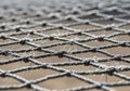Network. The background is blurred, highlighting the detailed texture and Royalty Free Stock Photo