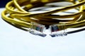 Network cable closeup with RJ45 connection. Ethernet network. clear vinyl plugs. Royalty Free Stock Photo