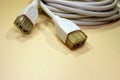 The network cable for the computer Royalty Free Stock Photo