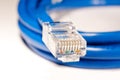 Network Cable Connector Royalty Free Stock Photo