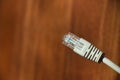 Network cable connector RJ45 close up view. Royalty Free Stock Photo