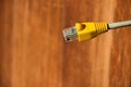 Network cable connector RJ45 close up view. Royalty Free Stock Photo