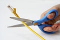 Network cable cutting Royalty Free Stock Photo
