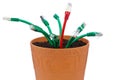 Network cable in flowerpot
