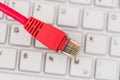 Network cable on keyboard Royalty Free Stock Photo