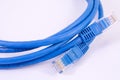 Network cable - patch-cord Royalty Free Stock Photo