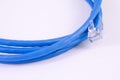 Network cable - patch-cord Royalty Free Stock Photo