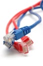 Network cable plugs Royalty Free Stock Photo