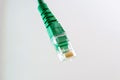 Network Cable RJ45 Head on white background Royalty Free Stock Photo
