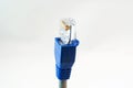 Network Cable RJ45 Head on white background Royalty Free Stock Photo