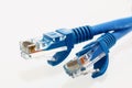 Network cable Royalty Free Stock Photo