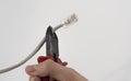 The network cable was cut with pliers. the concept of celebrating the International Internet-Free Day Royalty Free Stock Photo