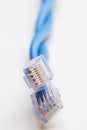 Network cable on white background Royalty Free Stock Photo