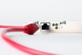Network cable on white background Royalty Free Stock Photo