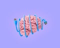 network cable wrapping a human brain Royalty Free Stock Photo