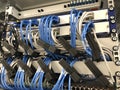 Network cables connected to data center server Royalty Free Stock Photo