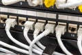 Network cables connected to router ports or switch Royalty Free Stock Photo