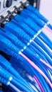 Network cables connected to server rack, data center infrastructure Royalty Free Stock Photo