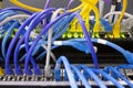 Network cables connected to the server Royalty Free Stock Photo