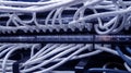 Network cables connected to switch. network hub. Royalty Free Stock Photo