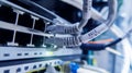 Network cables connected to switch. network hub. Royalty Free Stock Photo