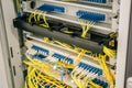 Network cables connected to switches ports in datacenter cupboard, web or cellular server hardware equipment