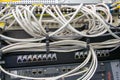 Network cables in the connector. Royalty Free Stock Photo