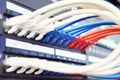 Network cables with connectors on switch Royalty Free Stock Photo