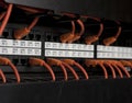 Network Cables Royalty Free Stock Photo