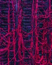 Network Cables in a Data Center from Top Down Angle
