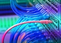 Network cables and hub closeup with fiber optical Royalty Free Stock Photo