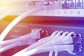 Network cables in network switch and patch box in server room Royalty Free Stock Photo