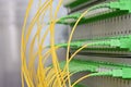 Network center with fiber optic patch cord and distribution panel Royalty Free Stock Photo