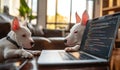 In a network concept, a mini Jack Russell dog is found using a computer that is placed on a table Royalty Free Stock Photo